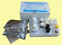 猪三碘甲状腺原氨酸（T3）检测试剂盒
