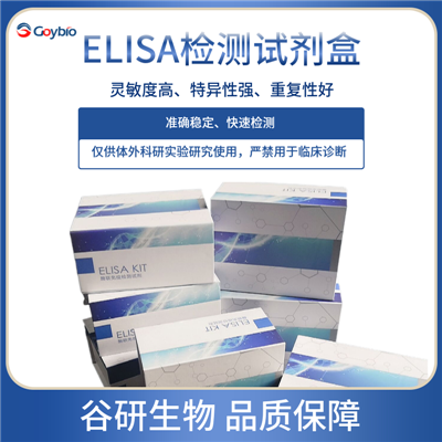 人血管内皮细胞生长因子B(VEGF-B)ELISA试剂盒