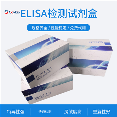 人血管内皮细胞生长因子(VEGF)ELISA试剂盒