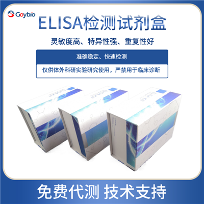 人B细胞淋巴瘤因子2(Bcl-2)ELISA试剂盒