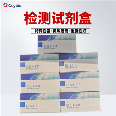 人白三烯B4(LTB4) ELISA试剂盒