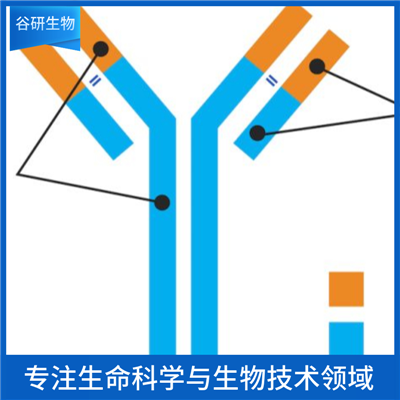 嗜酸性粒细胞阳离子蛋白抗体